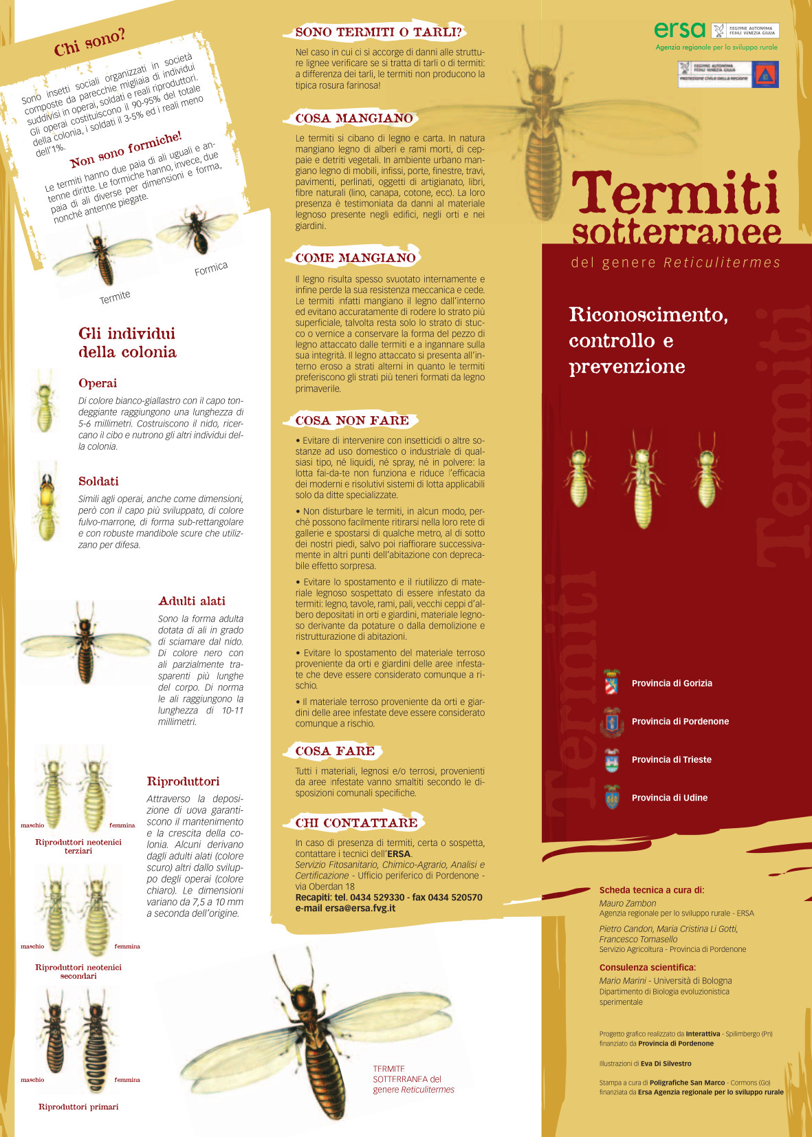 termiti_friuli_Venezia_giulia